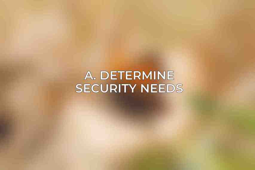 A. Determine Security Needs