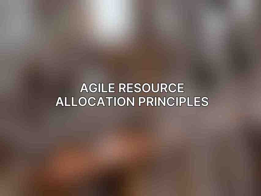 Agile Resource Allocation Principles