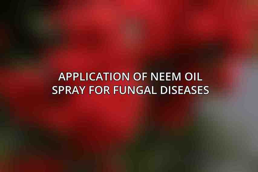 Application of Neem Oil Spray for Fungal Diseases