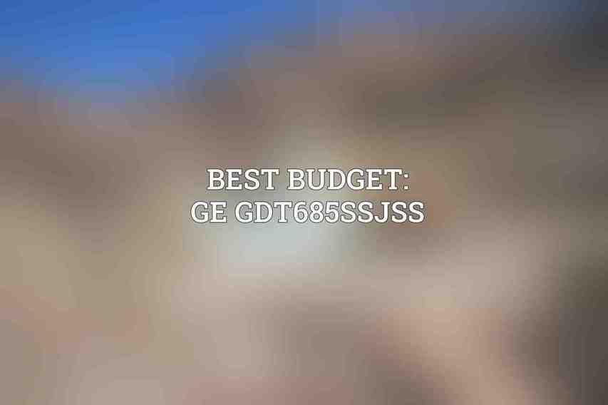 Best Budget: GE GDT685SSJSS