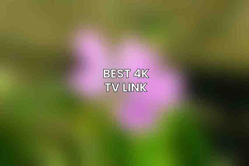Best 4K TV Link
