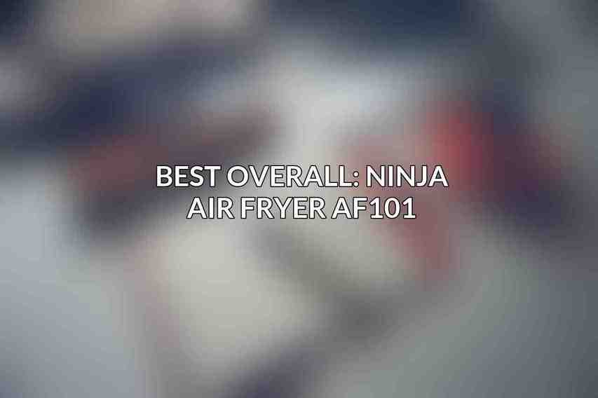Best Overall: Ninja Air Fryer AF101