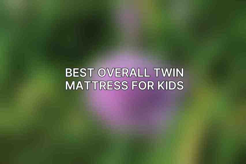 Best Overall Twin Mattress for Kids: