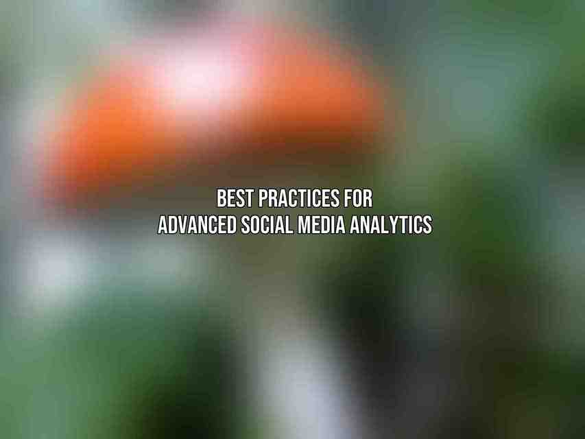 Best Practices for Advanced Social Media Analytics