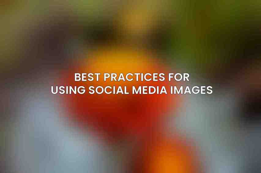 Best Practices for Using Social Media Images