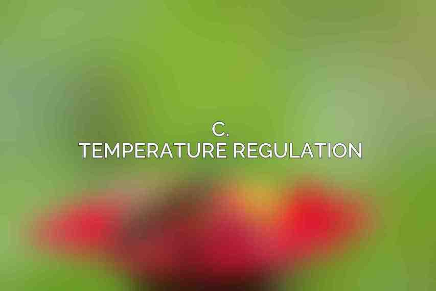 C. Temperature Regulation