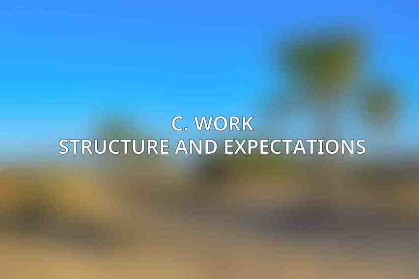 C. Work Structure and Expectations