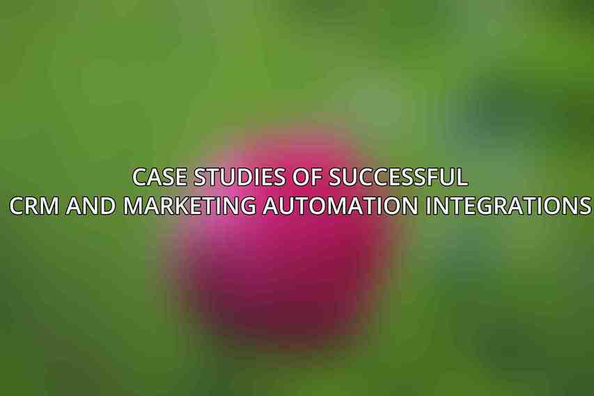 Case Studies of Successful CRM and Marketing Automation Integrations