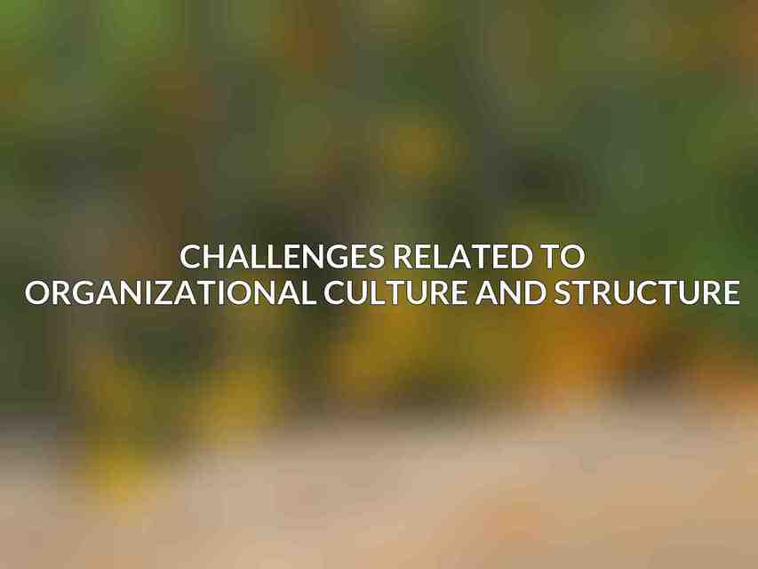 Challenges Related to Organizational Culture and Structure