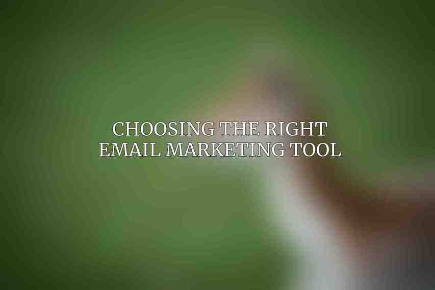 Choosing the Right Email Marketing Tool
