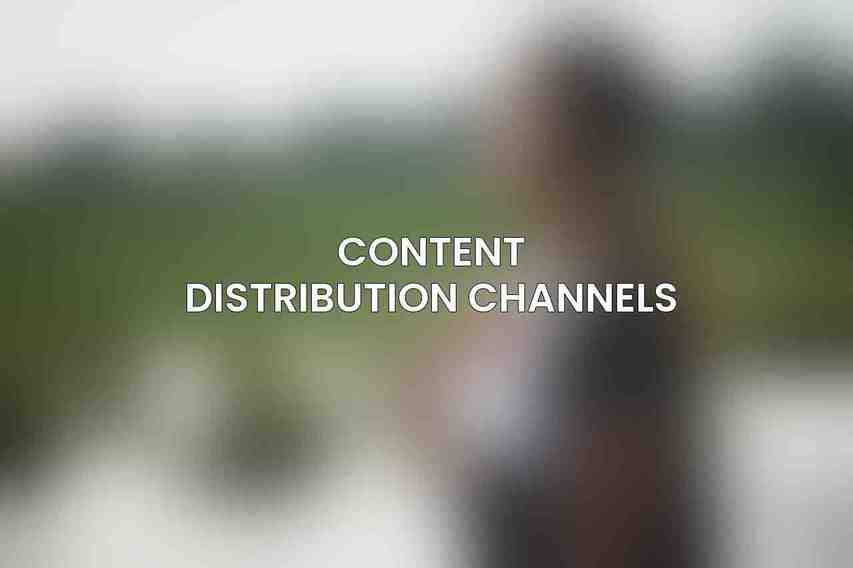 Content Distribution Channels