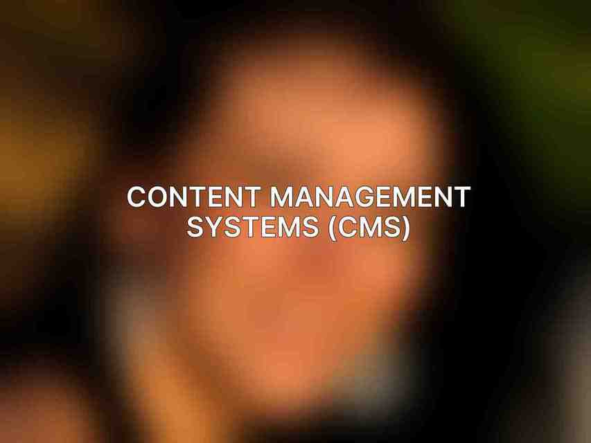 Content Management Systems (CMS)