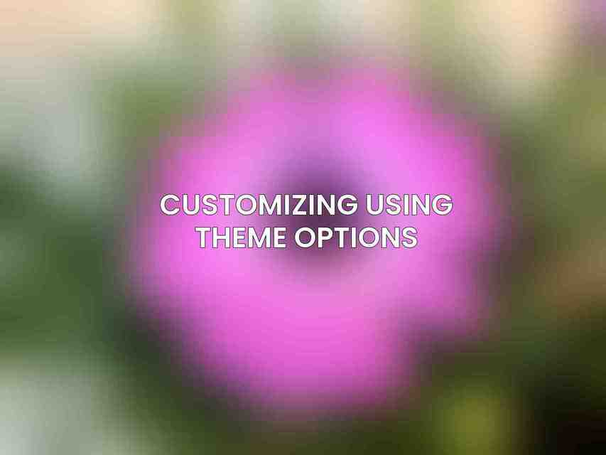 Customizing Using Theme Options