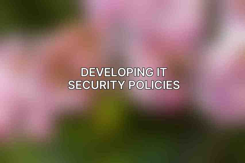 Developing IT Security Policies