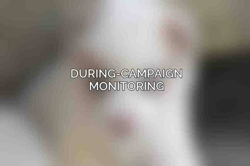 During-Campaign Monitoring