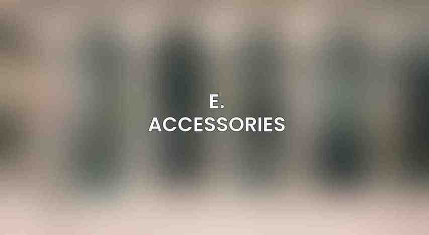 E. Accessories