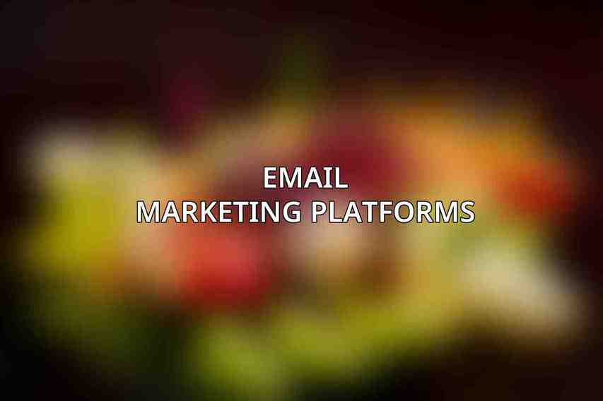 Email Marketing Platforms