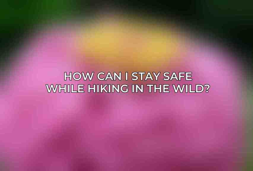 How can I stay safe while hiking in the wild?