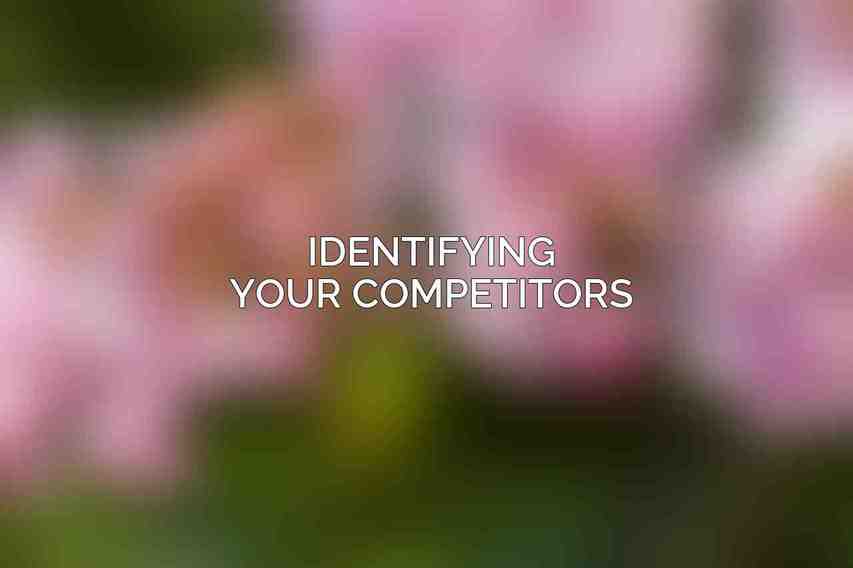 Identifying Your Competitors