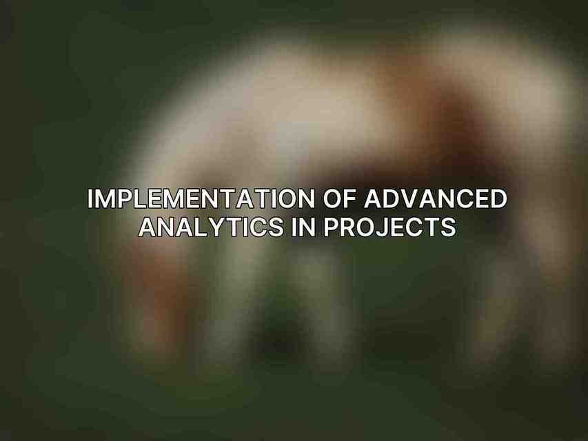 Implementation of Advanced Analytics in Projects