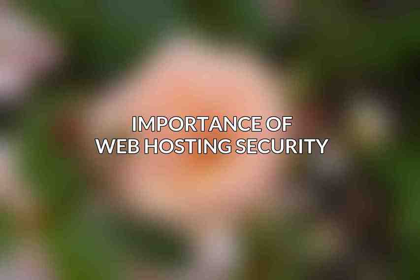 Importance of Web Hosting Security