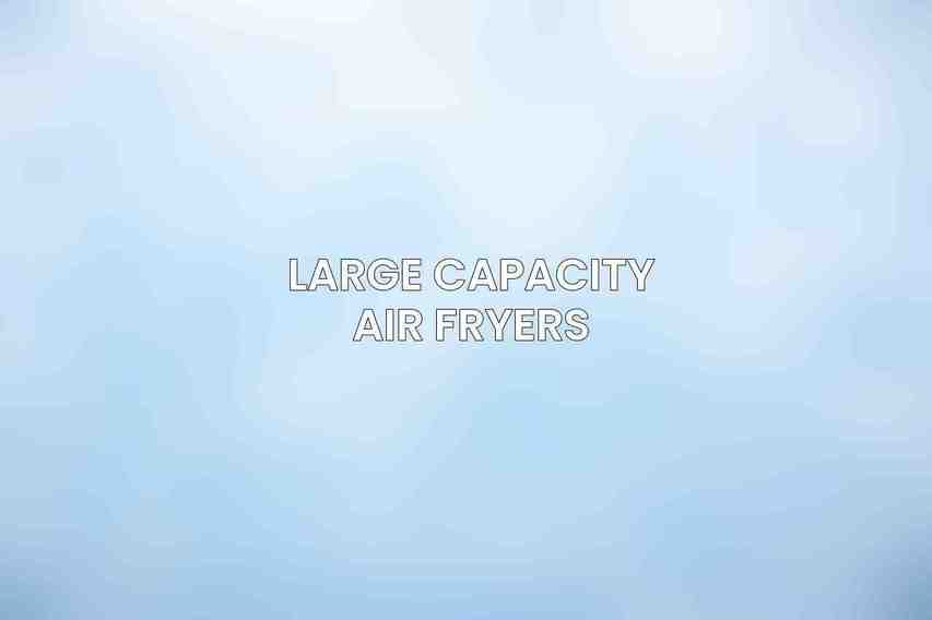 Large Capacity Air Fryers