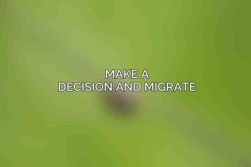 Make a Decision and Migrate
