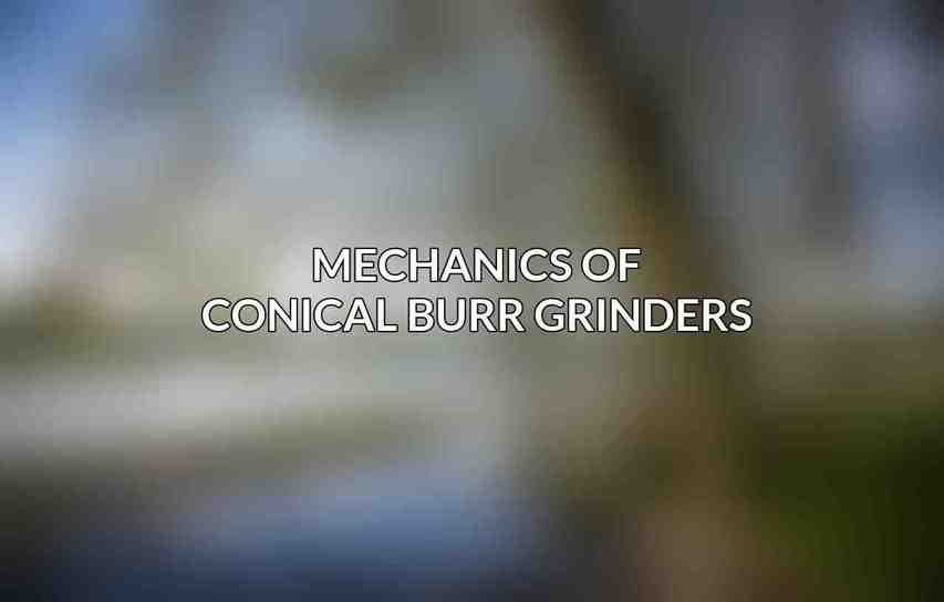 Mechanics of Conical Burr Grinders