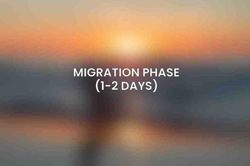 Migration Phase (1-2 days)