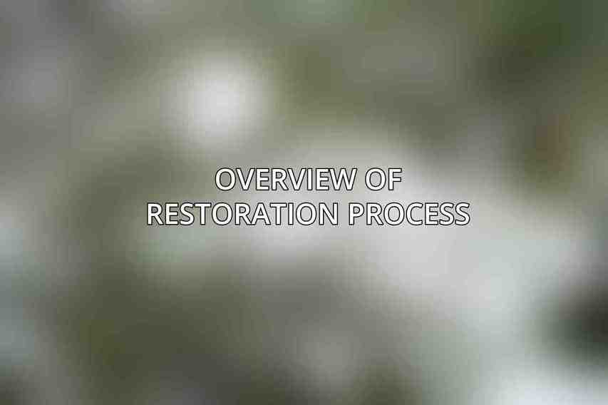 Overview of Restoration Process