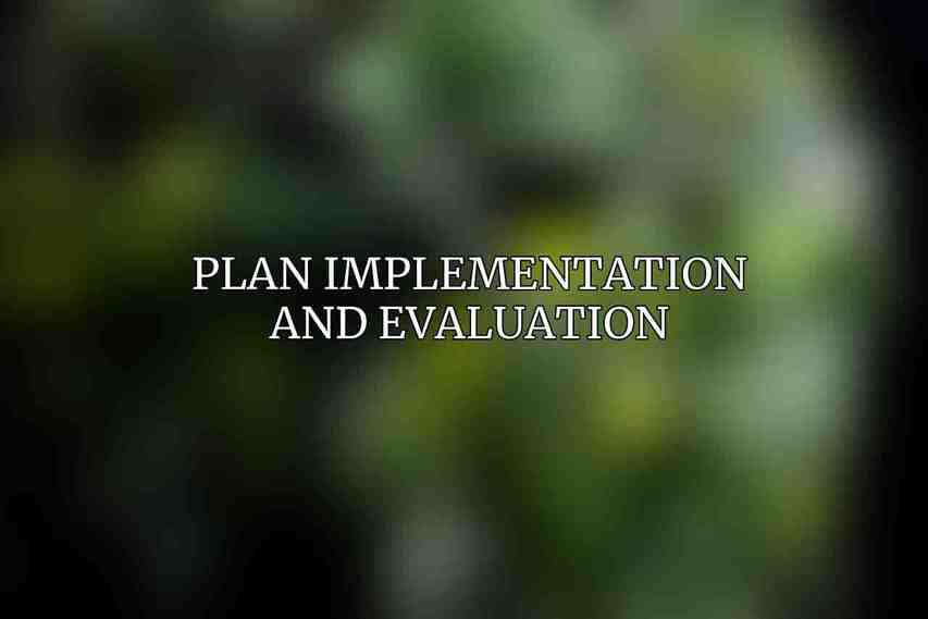 Plan Implementation and Evaluation