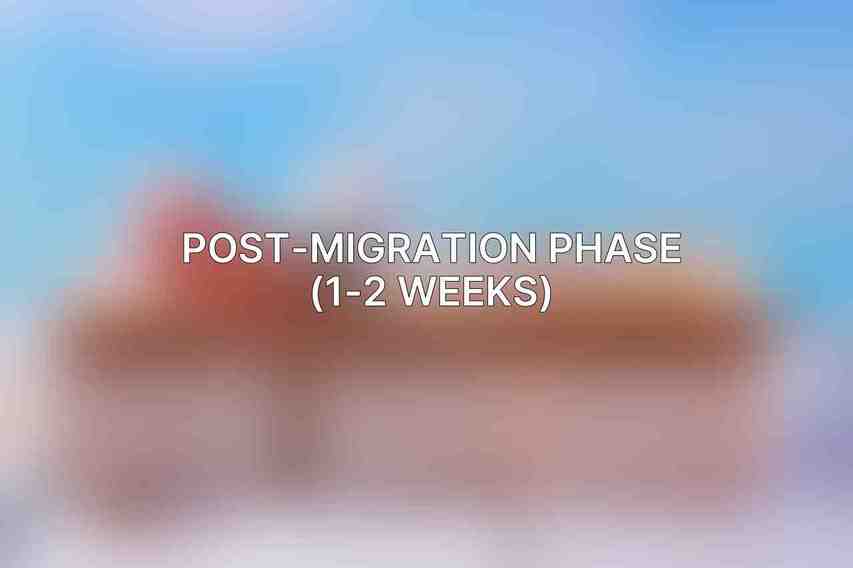 Post-Migration Phase (1-2 weeks)