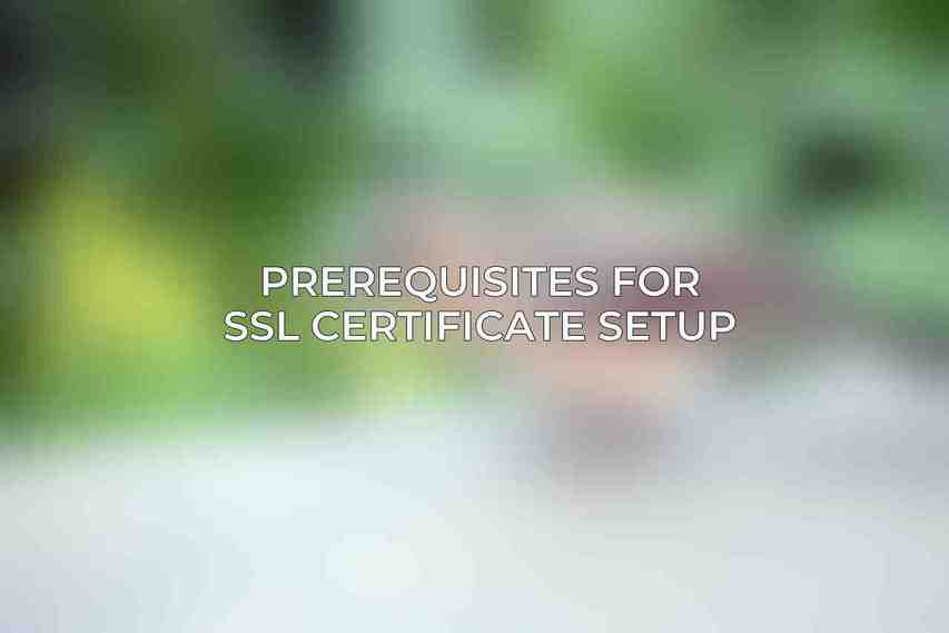 Prerequisites for SSL Certificate Setup