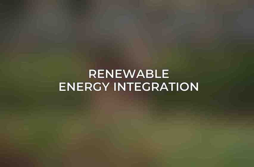 Renewable Energy Integration