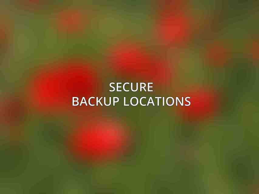 Secure Backup Locations