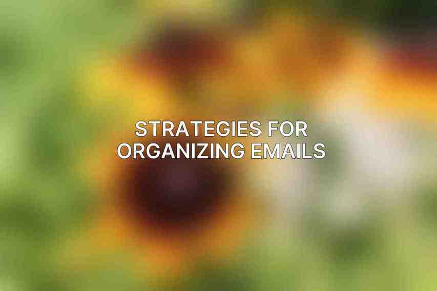 Strategies for Organizing Emails