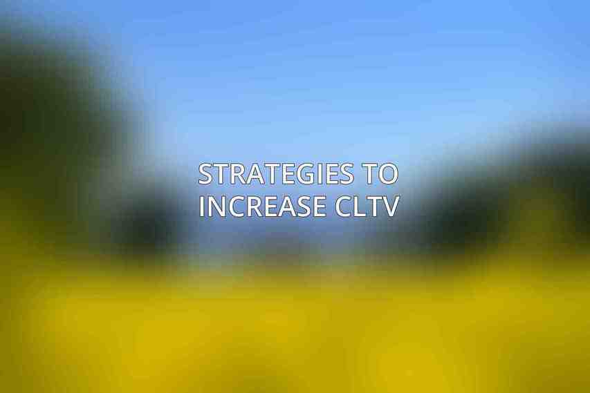 Strategies to Increase CLTV