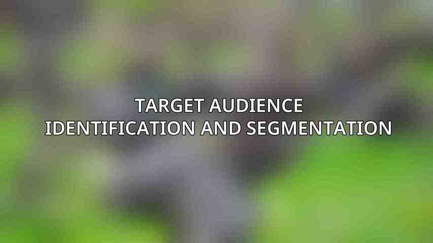 Target Audience Identification and Segmentation