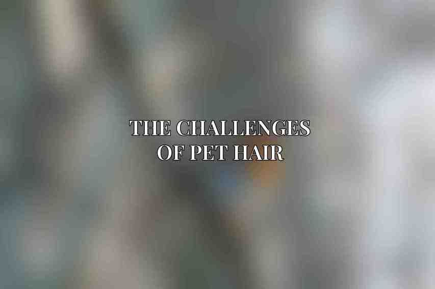 The Challenges of Pet Hair