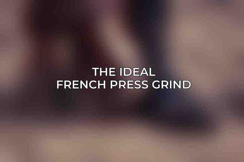 The Ideal French Press Grind