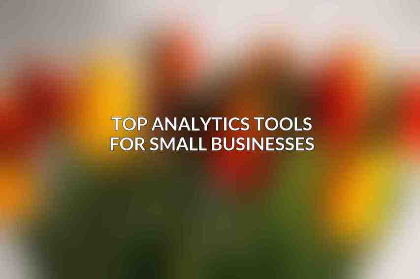 Top Analytics Tools for Small Businesses