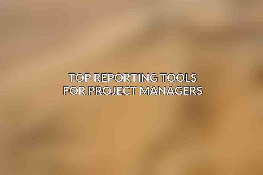 Top Reporting Tools for Project Managers