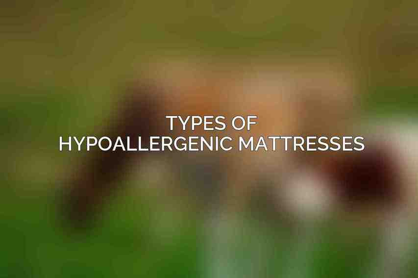 Types of Hypoallergenic Mattresses