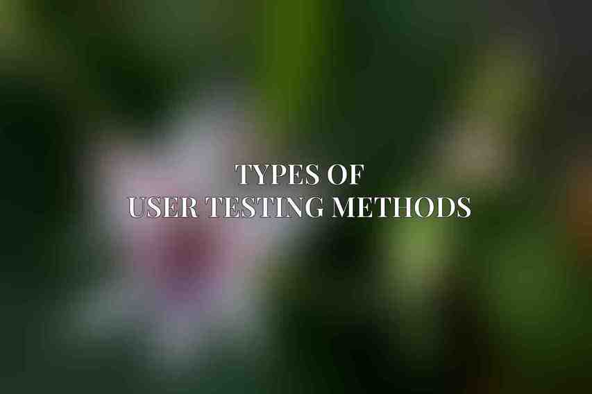 Types of User Testing Methods