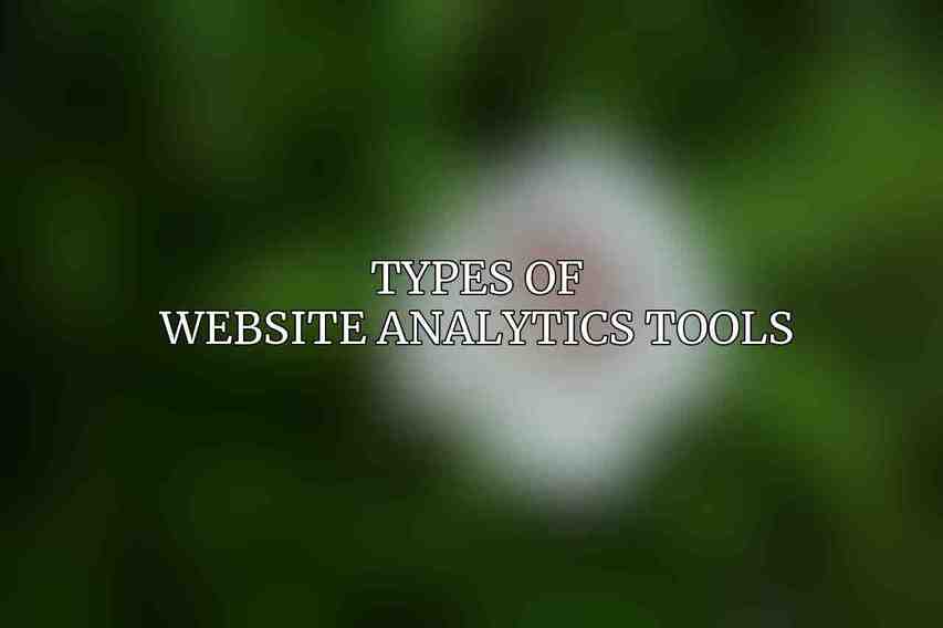 Types of Website Analytics Tools