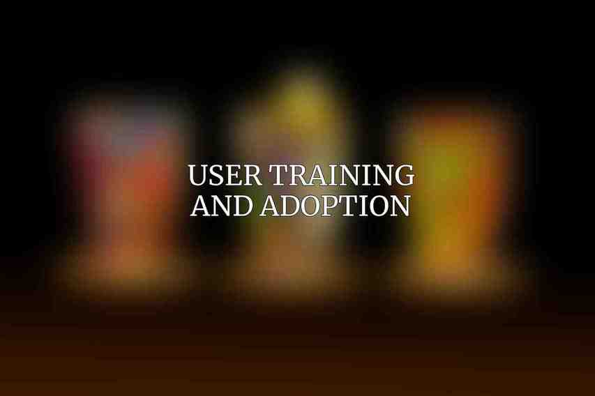 User Training and Adoption