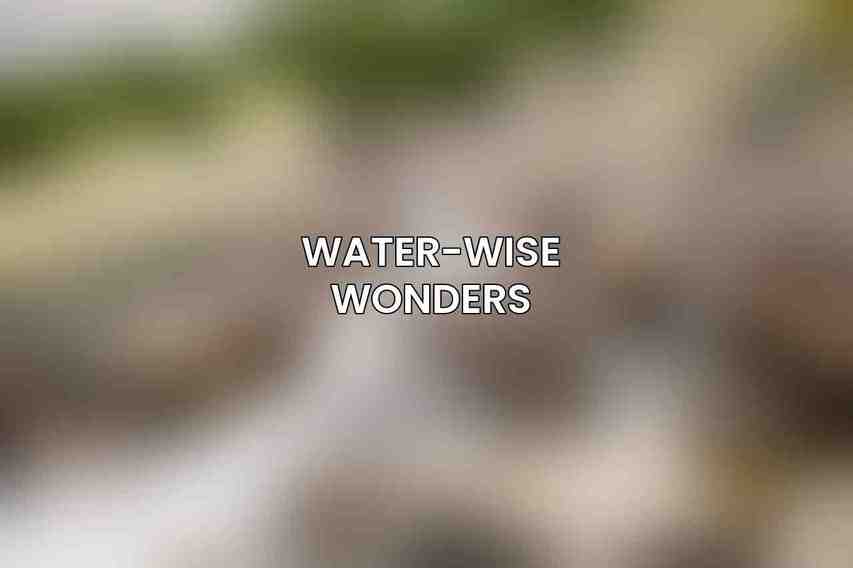 Water-Wise Wonders