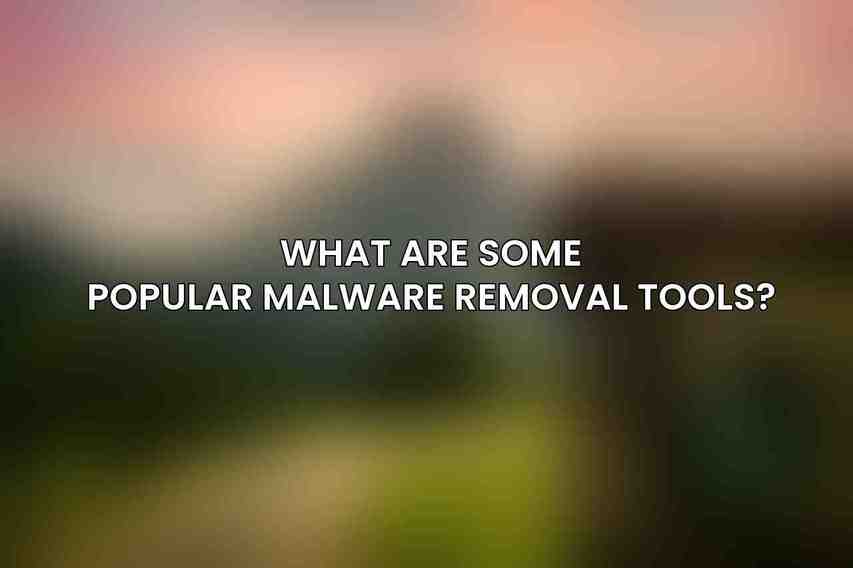 What are some popular malware removal tools?