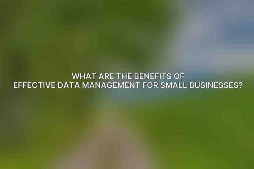 What are the benefits of effective data management for small businesses?