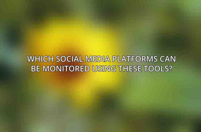 Which social media platforms can be monitored using these tools?